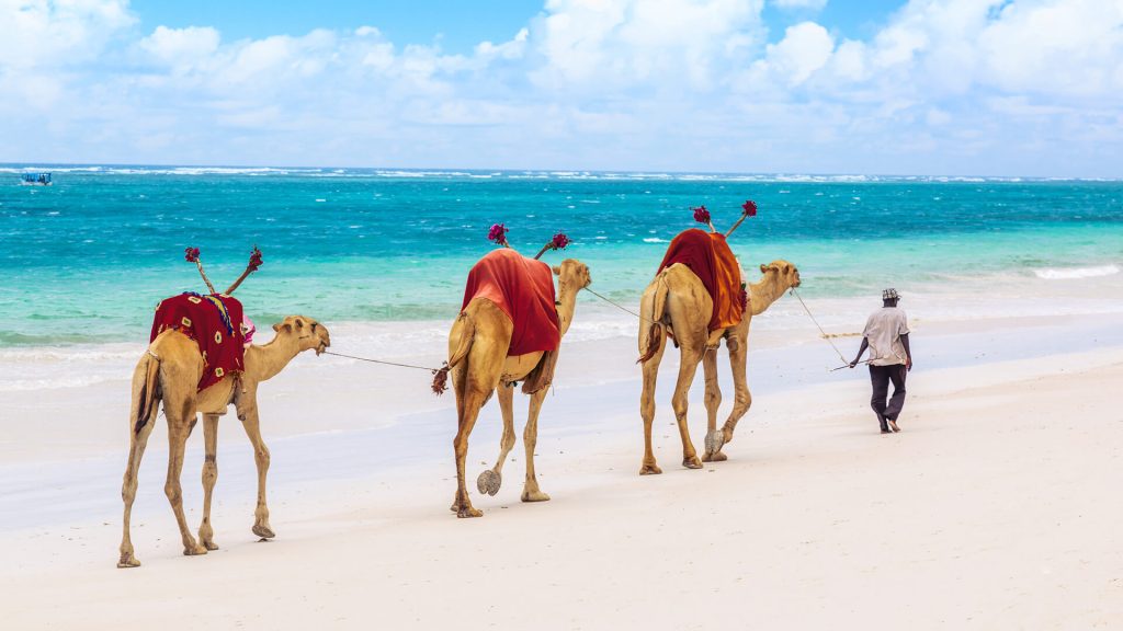 Pantai Terindah di Kenya