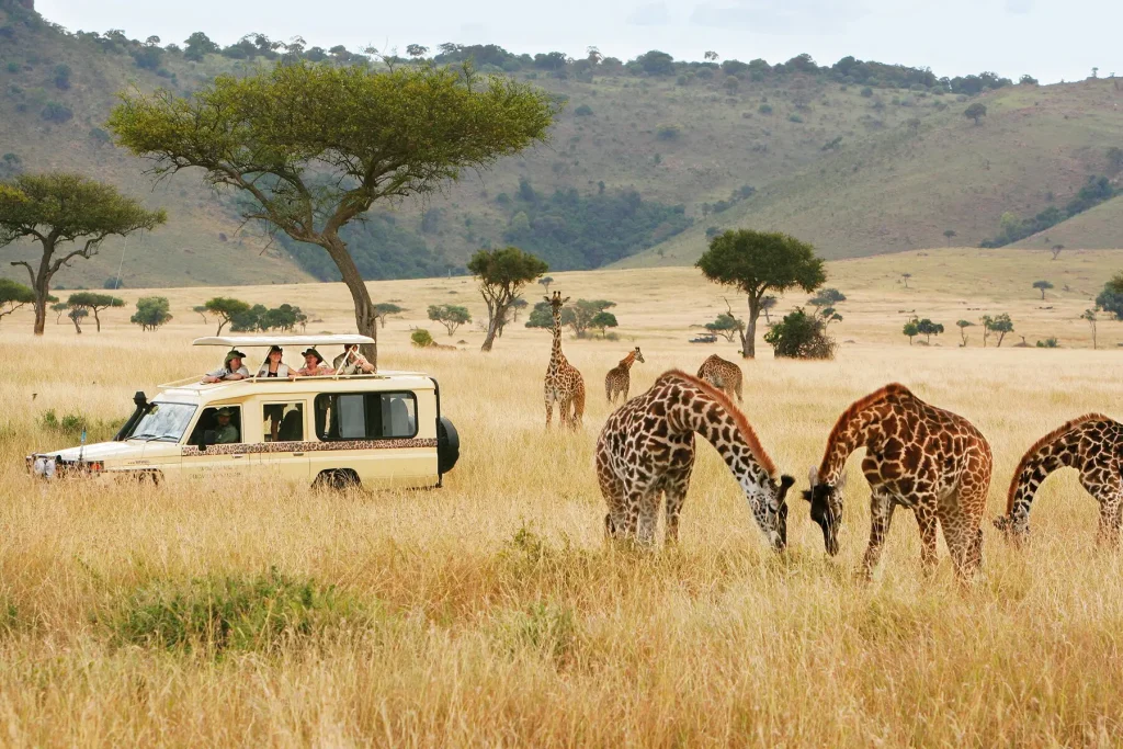 Tempat Wisata di Kenya