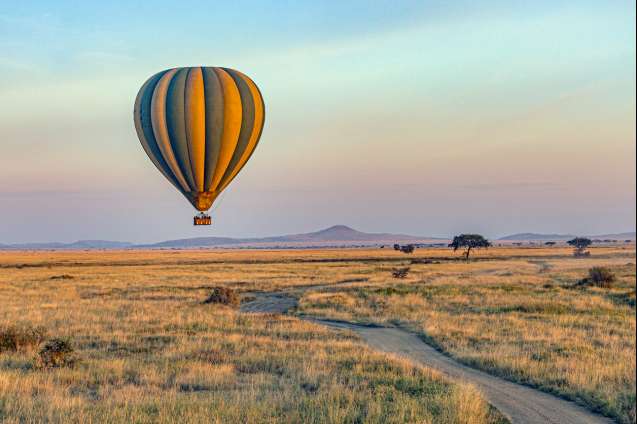 Safari Balon Udara