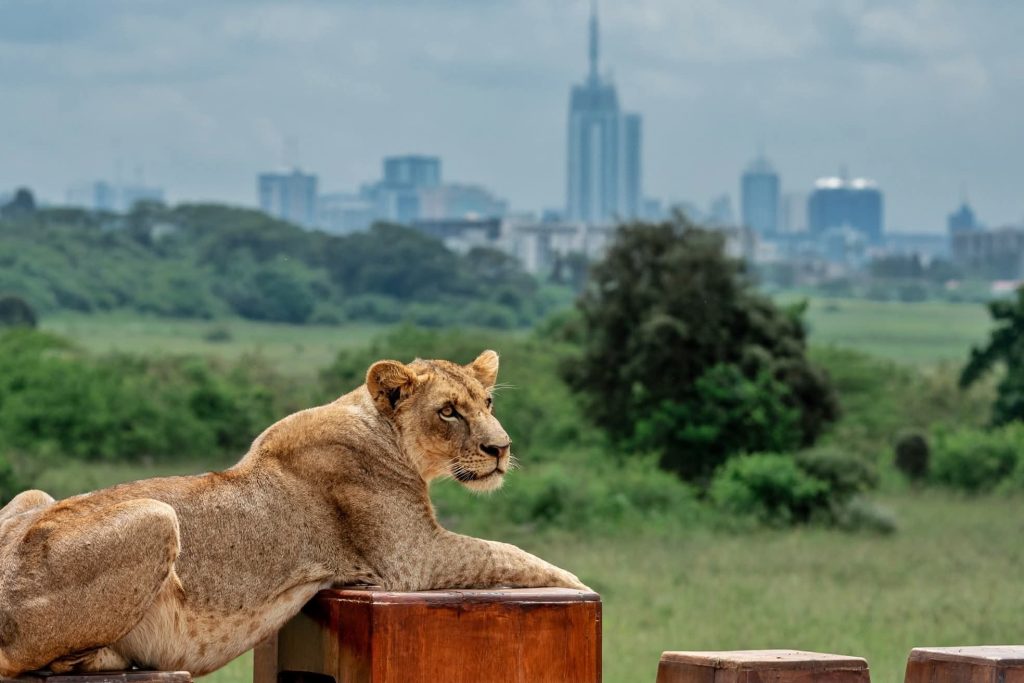 Nairobi National Park
